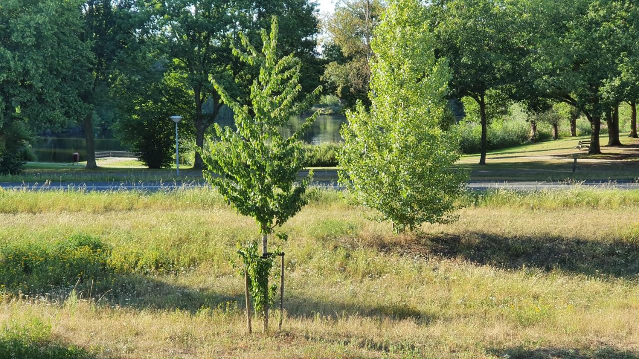 Logies Bij Wandelpad Te הולטן מראה חיצוני תמונה